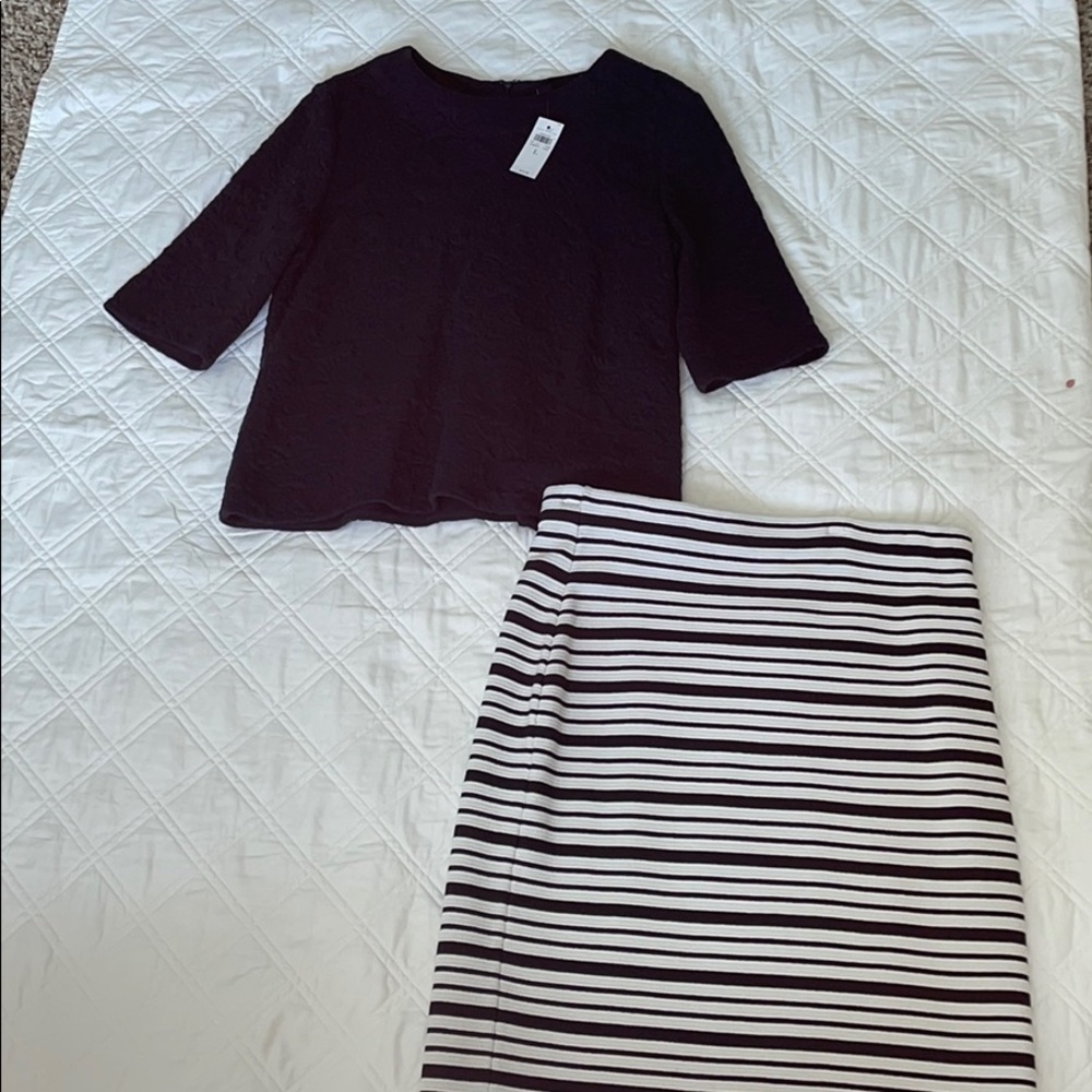 Ann Taylor Skirt and Shirt Set!